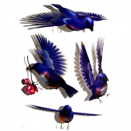 Tatouage-temporaire-oiseaux-3D