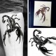 Tatouage-temporaire-scorpion