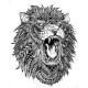 Tatouage-ephemere-Lion