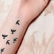 tatouage-temporaire-oiseaux
