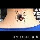 tatouage-ephemere-araignee-et-coccinelle