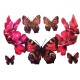 Tatouage ephemere papillons et fleurs rouge
